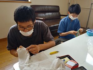 ジョブステップの夏