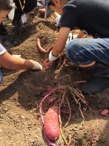 続・自然に触れ