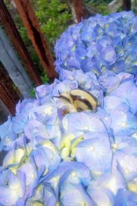 音楽とレクリエーション